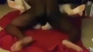 Cuckold jerks & records