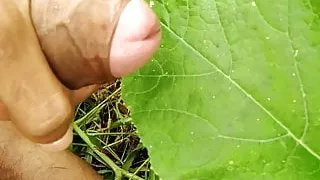 Großer Schwanz Masturbation auf dem Feld und Cumshot auf Gras