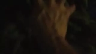 A little fun in the dark