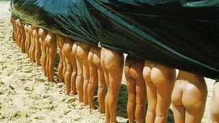 Many Asses Lined Up