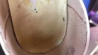 Sborra, Papà, Gay, Masturbazione, Pompa, Giocattoli