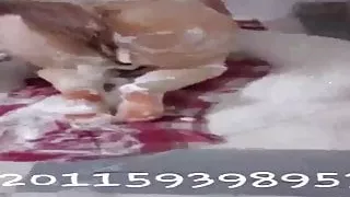 arab sex girl part 5