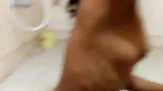 little bitch shaves her pussy