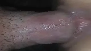 meine Frauchien, die sich an diesem Schwanz festhalten