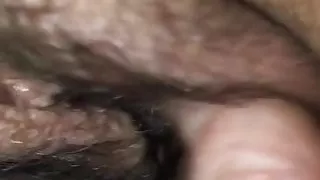 Pussy