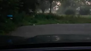 Walking outside at Ruyven