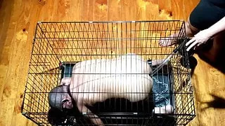 Mistress April Movie Trailer - A life at her feet