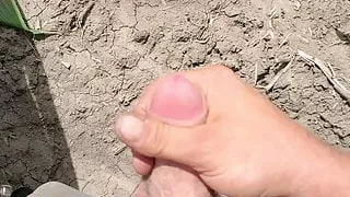 Einen im Maisfeld abrubbeln