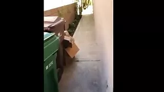 risky sex in my neighbors backyard with my girlfriend