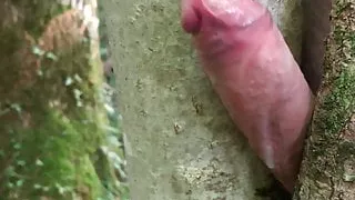 Masturbation draußen mit einem Baum und großem Cumshot ohne Hände