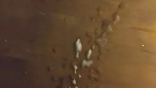 YoungBoy desk cumming