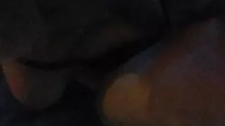 ShowerStudd & Harla Quinn