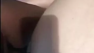 Black shemale ass fucking a client