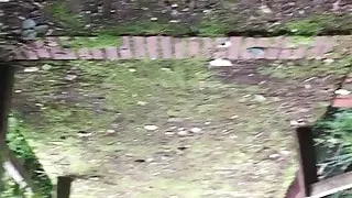 My thick stiff cock outdoors