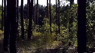 MelKingPoint - Surrounded by Trees