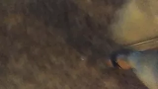 Walking on mules in public