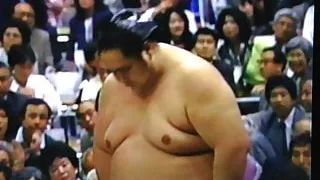 the biggest belly sumo wrestler Onokuni 1
