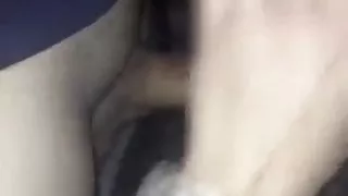 Just a pussycat sucking dick