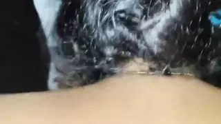 Meri maa boli Meri gand Mari jor jor se