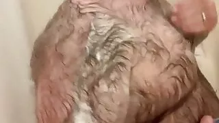 Hairy Bear Taking Shower