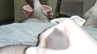 my penis is best to have sex