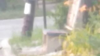 Mi vecina la nalgona