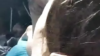 Jane In The Yard --Neighbors Hate Me