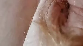 Hairy pussy