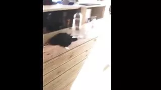 Blowjob on hard wood