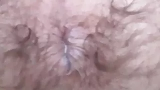 Bookstore fist then loaded up from stranger aftermath