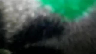 Desi horny bhabi sex 1