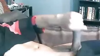 Schwarzer Sex, Ebenholz, Transensex, Kleiner Schwanz, Kleine Titten, Jung