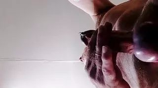 From above sow motion