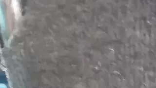 perver grandmother in buss