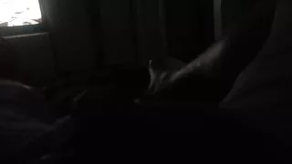 Night time