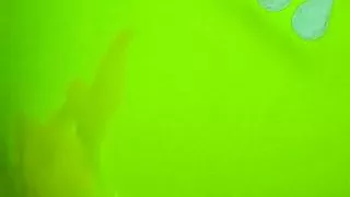 Bukkake auf einem Poloshirt