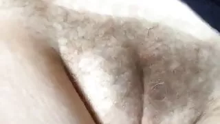 Grosse chatte poilue