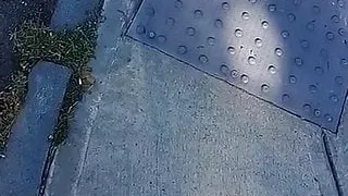 Kukkiwon Musulkenpo Karatenoel