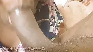 Have You Got Blowjob Like This - How Is My Cock Sucking