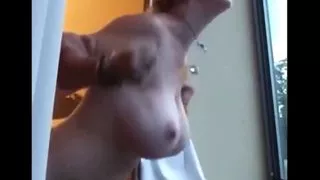 Wife in Hotel WIndow