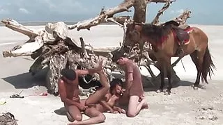 Hairy brunette Druuna takes a cock in every hole