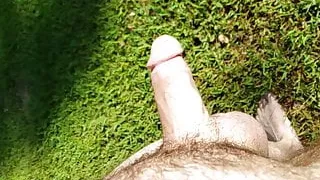 Gay, Venku, Veřejné, Malý Pták