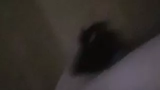 Nik skhoun en trio sahbi idjibou fi hatchouni Miradz