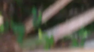 Crossdresser, Oblečení, Gay, Kalhotky, Malý Pták, Proužek