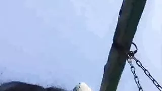 Die zweite Schwägerin bittet dich, mich für das Lutschen von Pow zu ficken