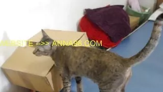 Squirting Pee All Over The Place