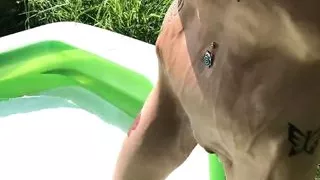 Plastic Tits on a Stick 2