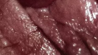 A Woman’s Torment (35mm Remastered)