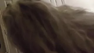 Fat Donna sucking my dick