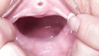 Please Identify This Creature ?!